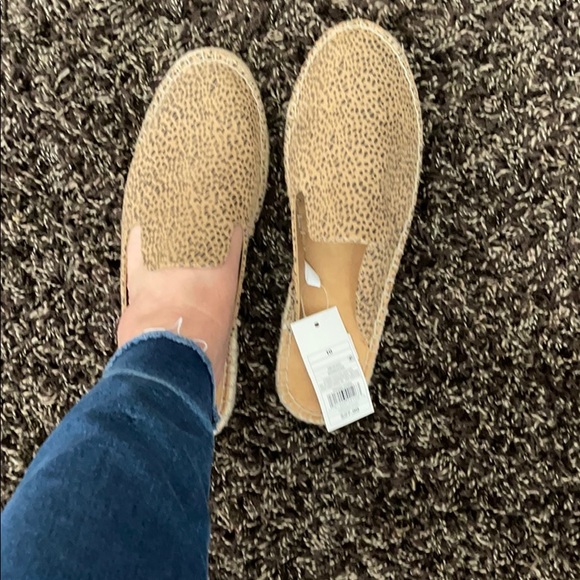 Ladies leopard print slip on shoes - Picture 1 of 6